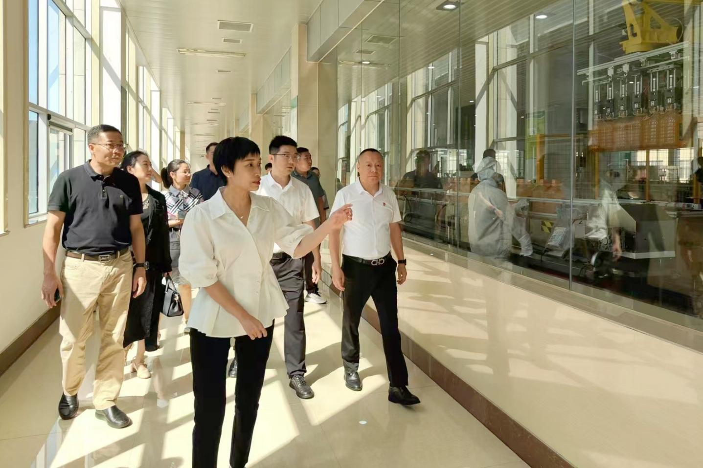 桐廬縣委副書記、縣長(zhǎng)張蕙娜到桐廬玉米產(chǎn)業(yè)公司走訪調(diào)研