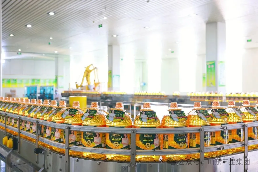 山東三星集團六個項目入選2025年山東?。ǖ谝慌┢髽I(yè)技術(shù)創(chuàng)新項目計劃