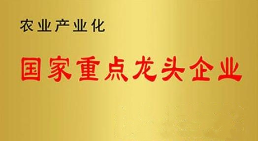 國家重點龍頭企業(yè)！山東三星集團連續(xù)上榜