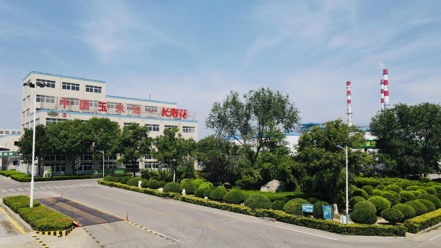 創(chuàng)新驅(qū)動(dòng) 產(chǎn)權(quán)護(hù)航｜長(zhǎng)壽花食品通過(guò)知識(shí)產(chǎn)權(quán)管理體系監(jiān)督審核