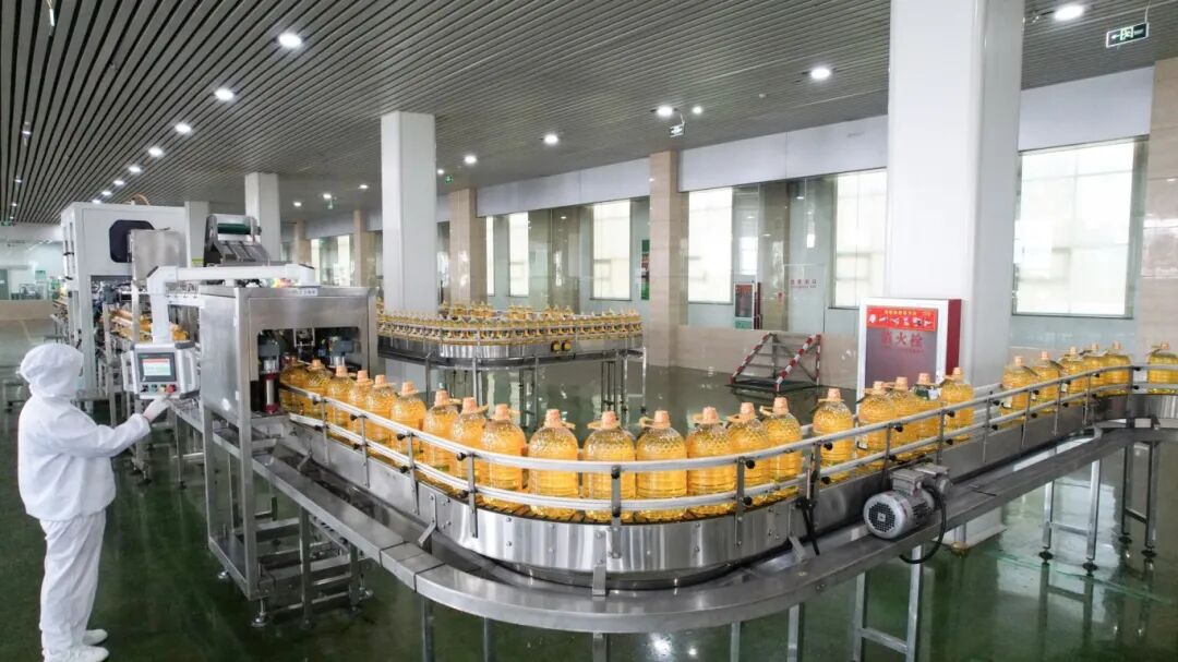 長壽花包裝車間：穩(wěn)質(zhì)提效奮戰(zhàn)第四季度 凝心聚力沖刺全年目標(biāo)